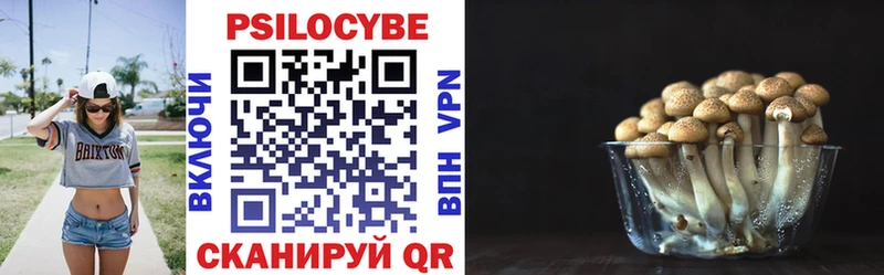 Галлюциногенные грибы GOLDEN TEACHER где купить Рузаевка